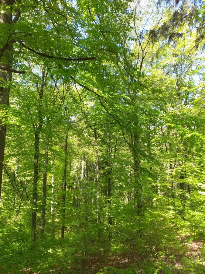 Eifelverweiler Weiler  Exteriör bild
