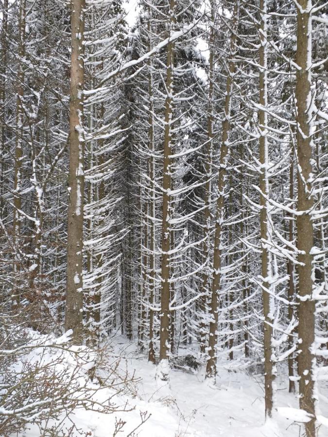 Eifelverweiler Weiler  Exteriör bild