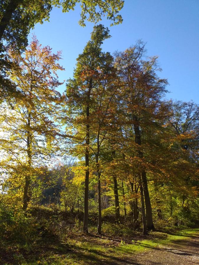 Eifelverweiler Weiler  Exteriör bild
