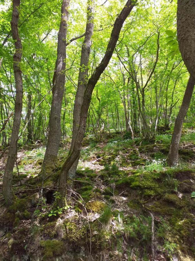 Eifelverweiler Weiler  Exteriör bild