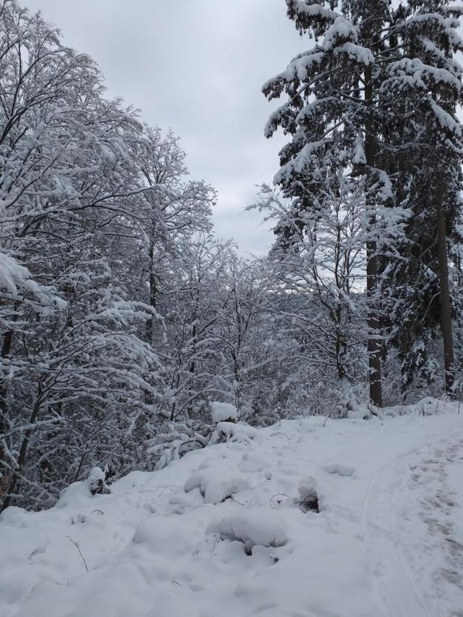 Eifelverweiler Weiler  Exteriör bild